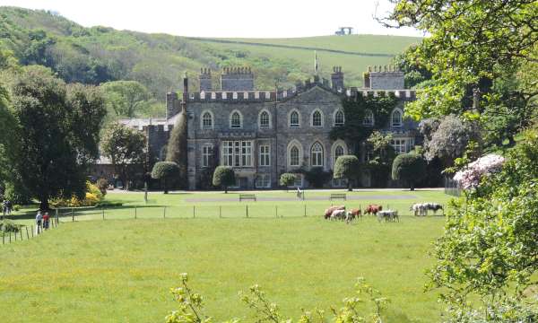 Hartland Abbey with Cows in Foreground