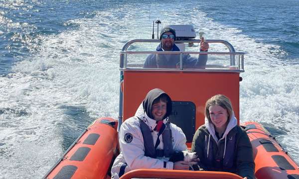 Falmouth Sea Safari
